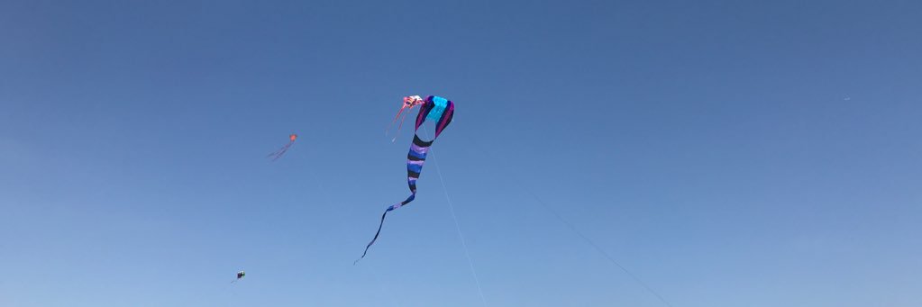 meli_scott's profile banner image