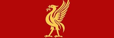ankitliv's profile banner image