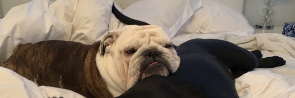 Matt_Luff25 Profile Banner