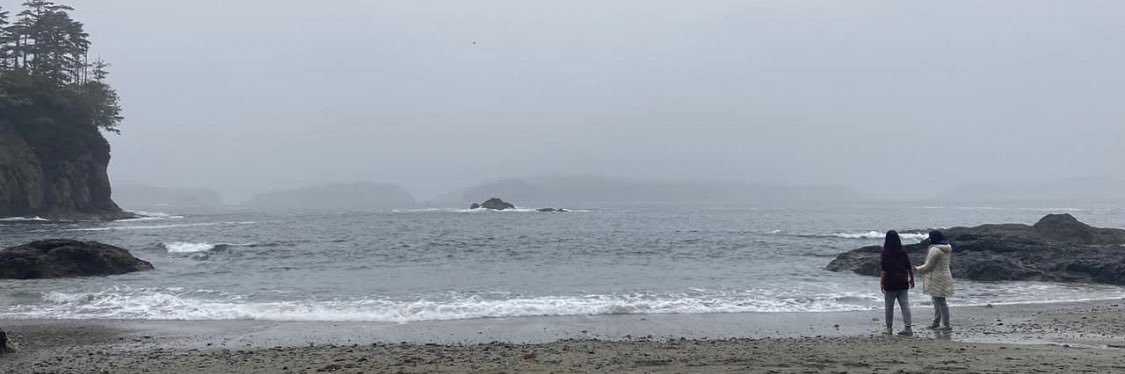 IreneDPeters's profile banner image