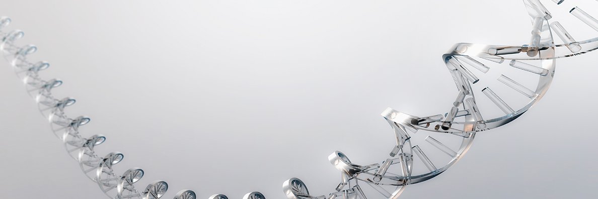 JeffAdkins6's profile banner image