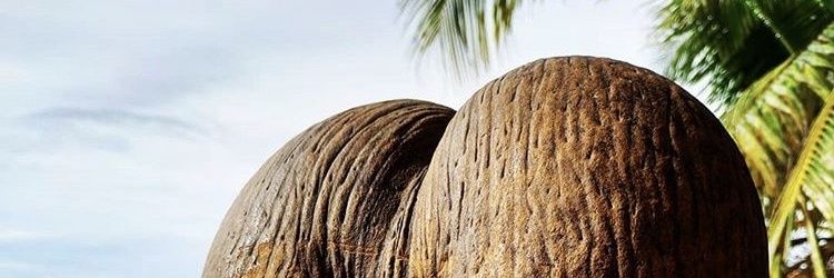 spunktmeister's profile banner image