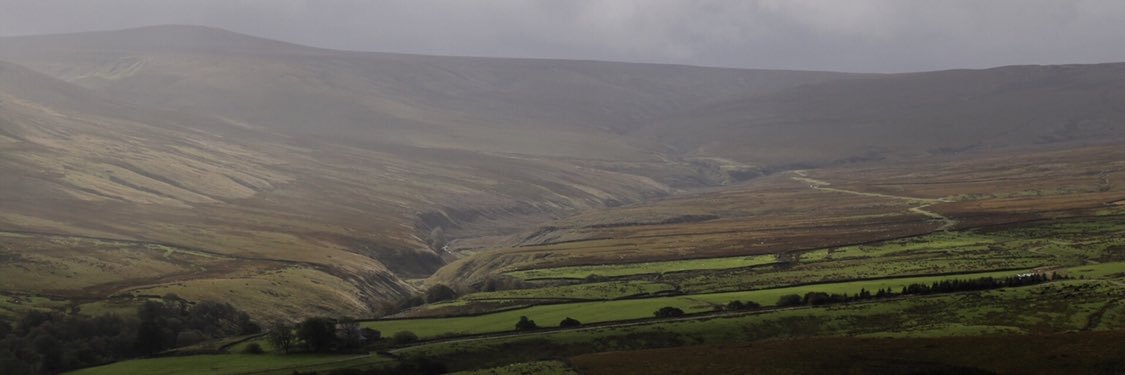 Menno Haanstra banner