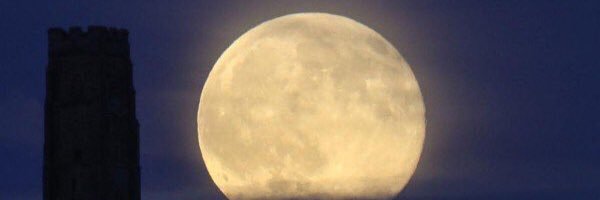 J_Sh_M's profile banner image