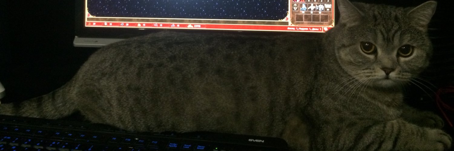 Femalelol's profile banner image