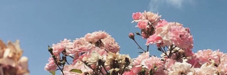 sherlenemichel's profile banner image