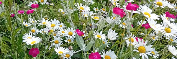 davidmorgan100 Profile Banner