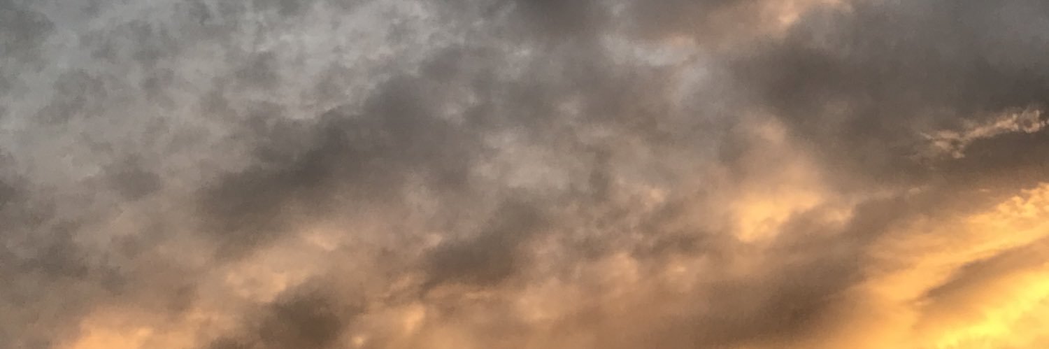 Naomi_Levi's profile banner image