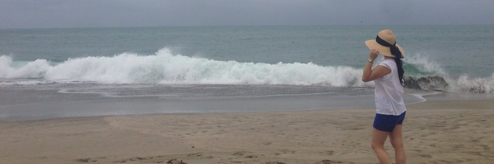 Carolina Alvarez banner