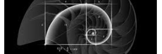 🤘Fibonacci's Got This🤘 banner