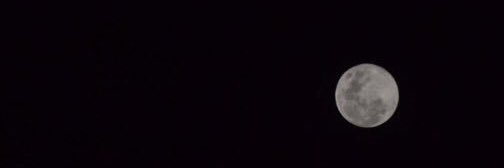 S A M banner