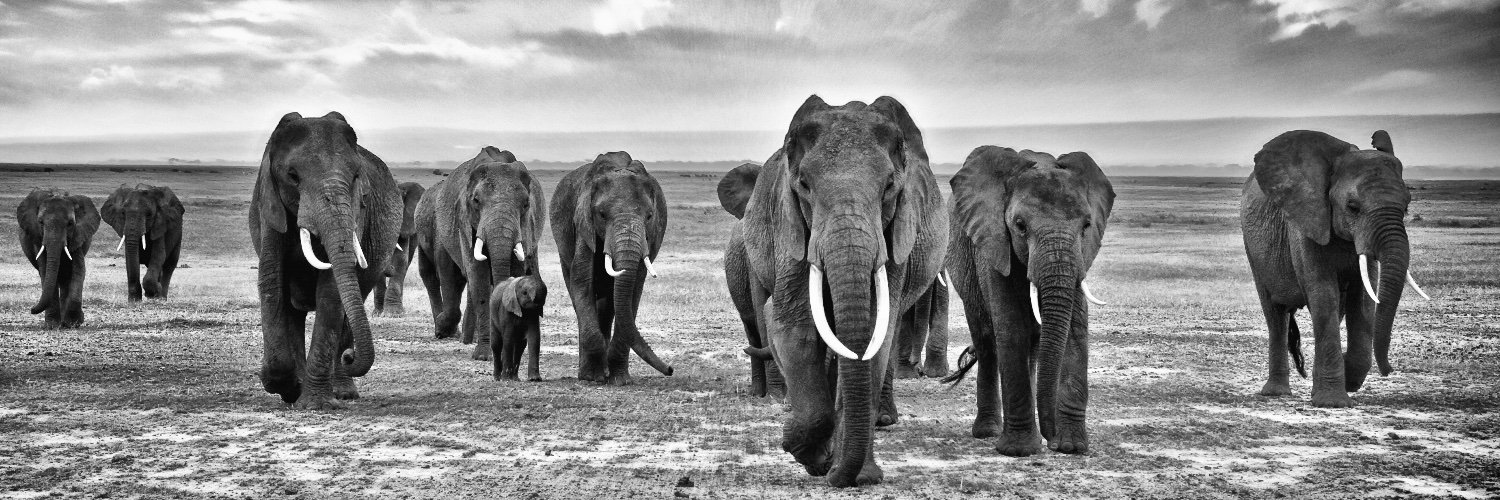 25th June 2024 ✊🇰🇪 banner