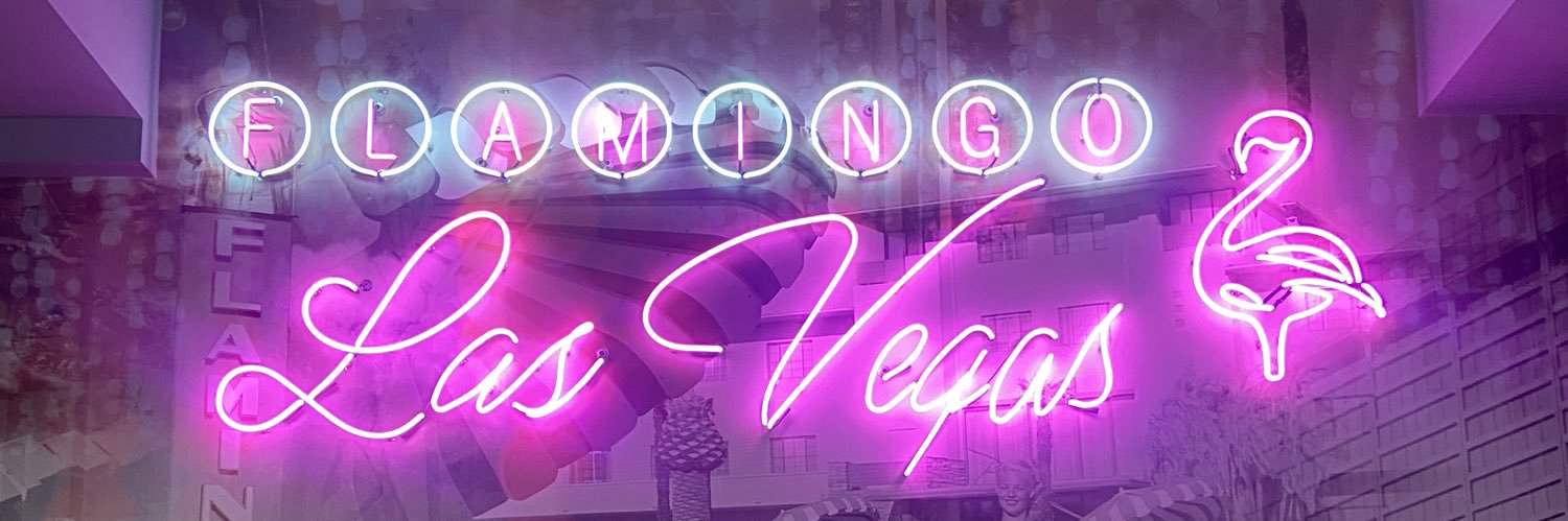 HailStorm_28's profile banner image