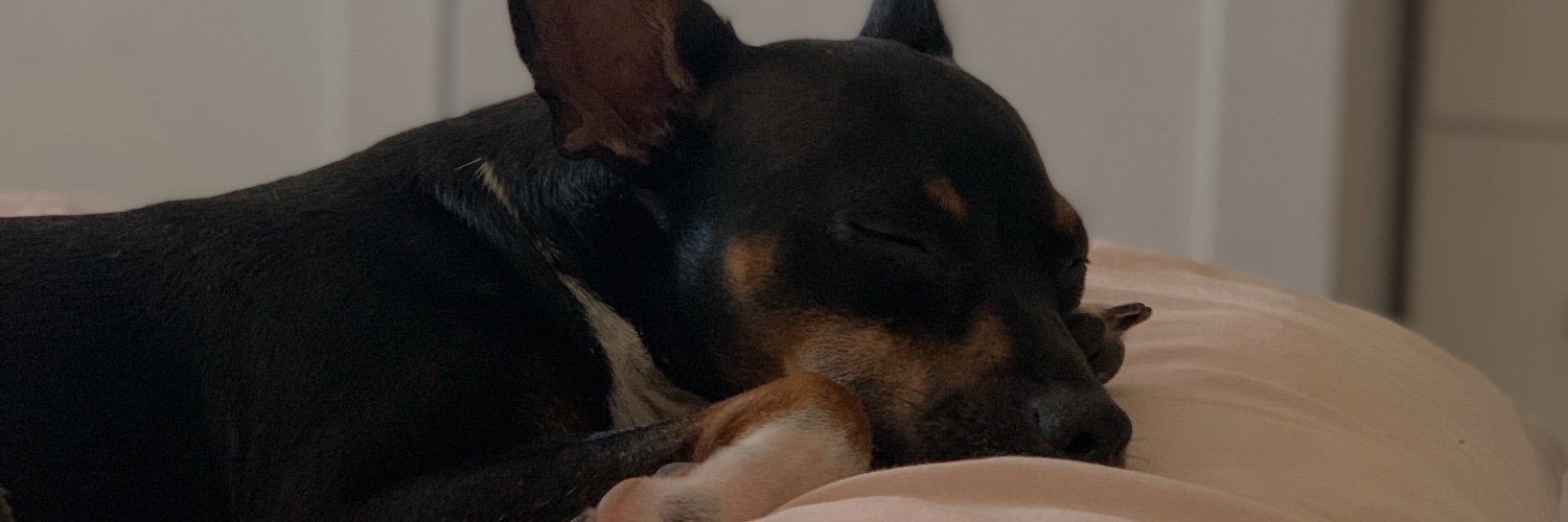 TalonAlfonso's profile banner image