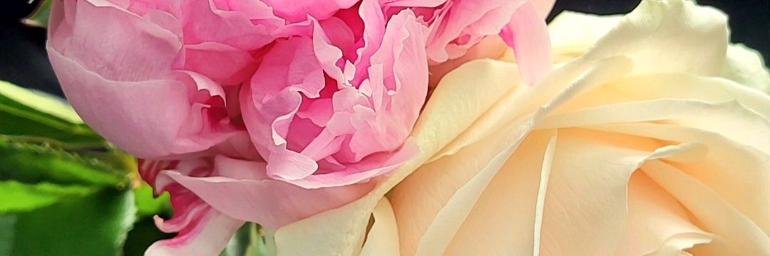 RamosLucie's profile banner image