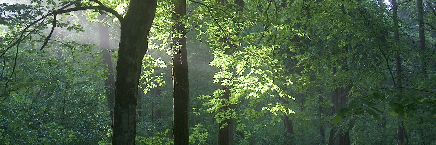 IUFRO's banner