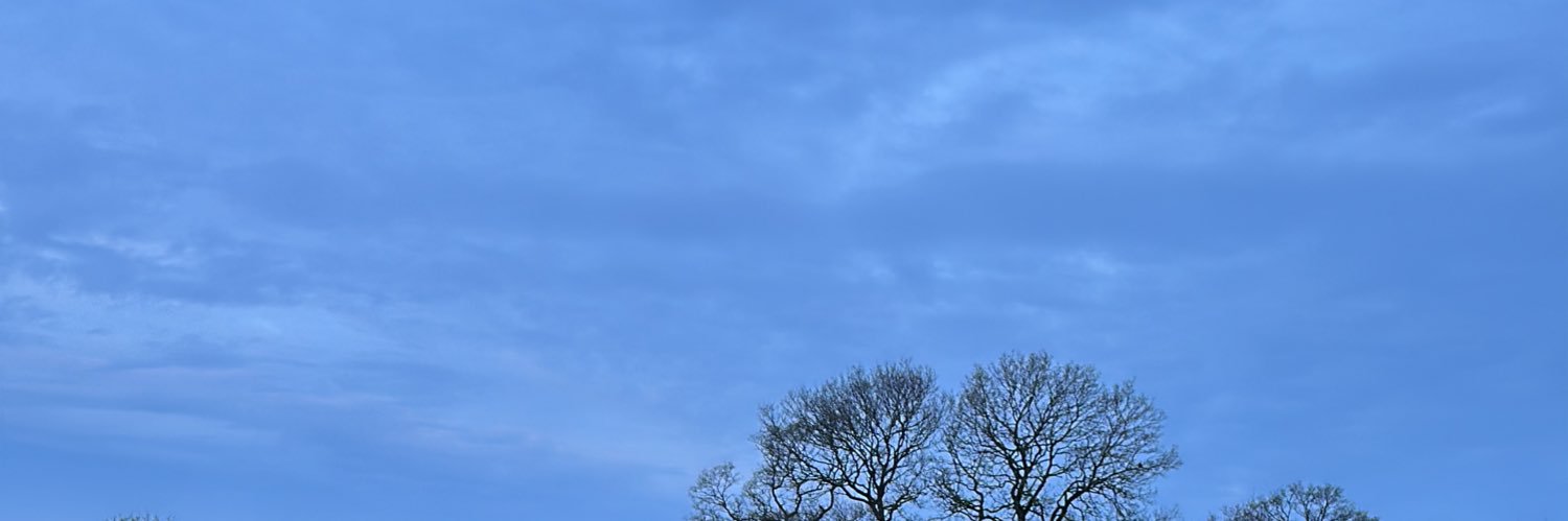 TimMcGarrity's profile banner image