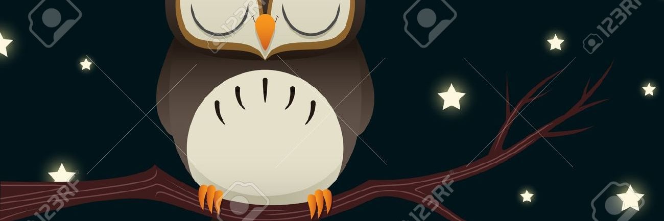 dubraskapc's profile banner image