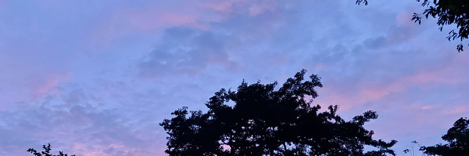 gumabrasd's profile banner image
