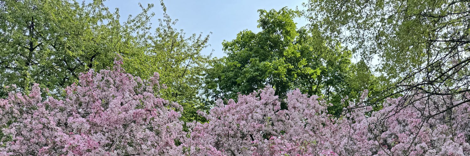 aarthir's profile banner image