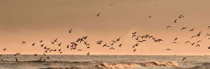 hf_jl_'s profile banner image
