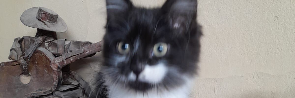 lukasmfreire's profile banner image