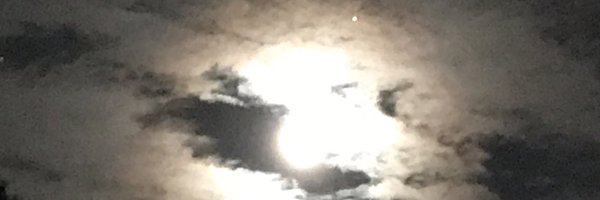 michaelsiconolf Profile Banner