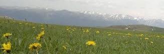 aa050055's profile banner image