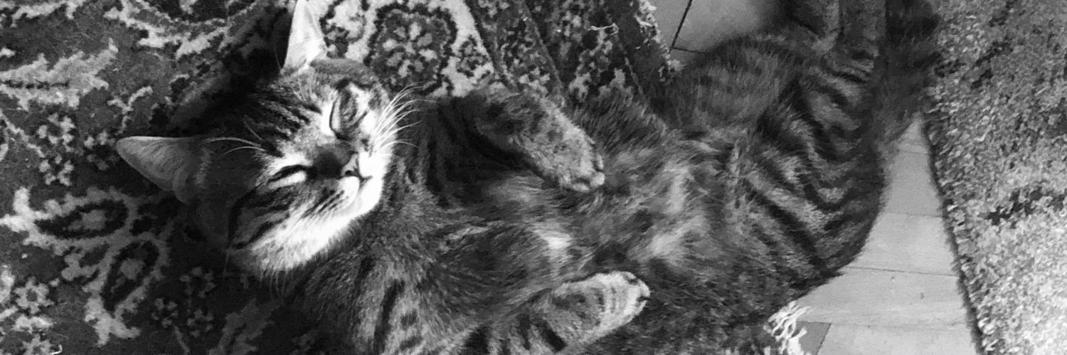 islam yasser elgendy 🧬 ⭐️ 🇵🇸 banner