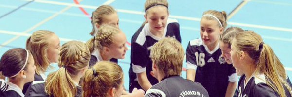 lindgreen02 Profile Banner