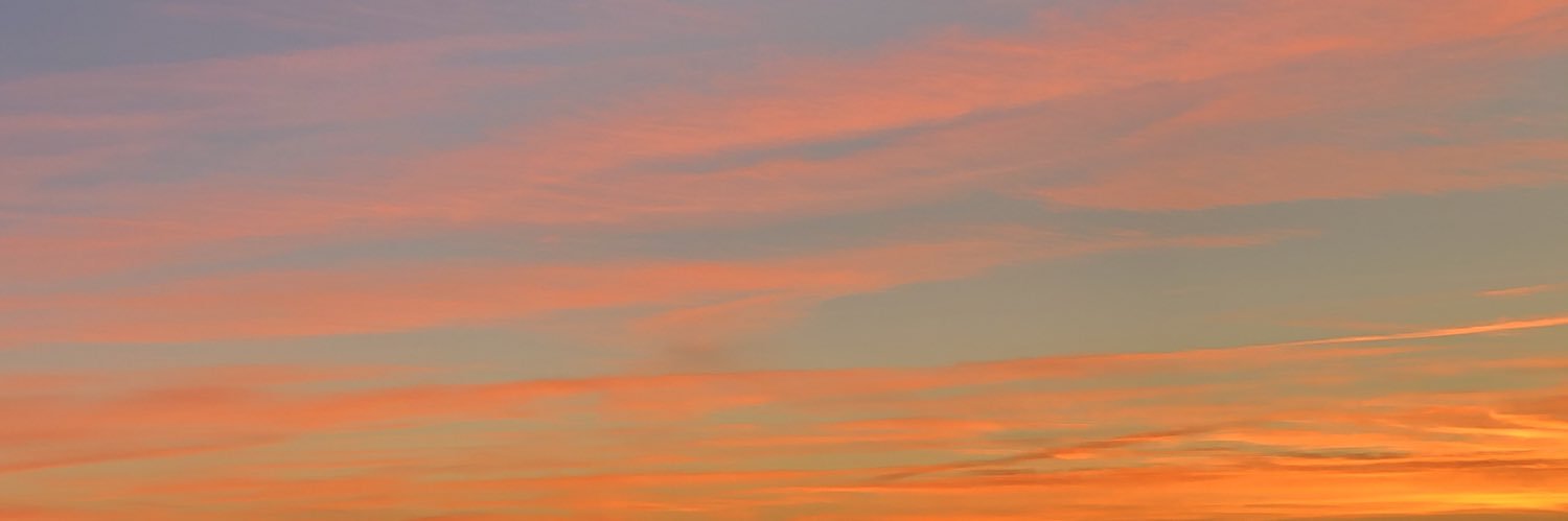 lolateibol's profile banner image