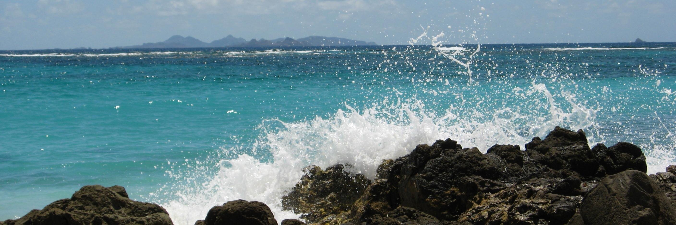 cammedlin's profile banner image