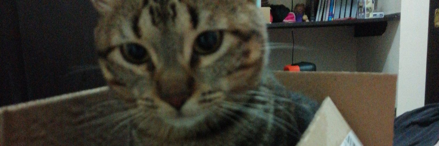 Vickylms345's profile banner image