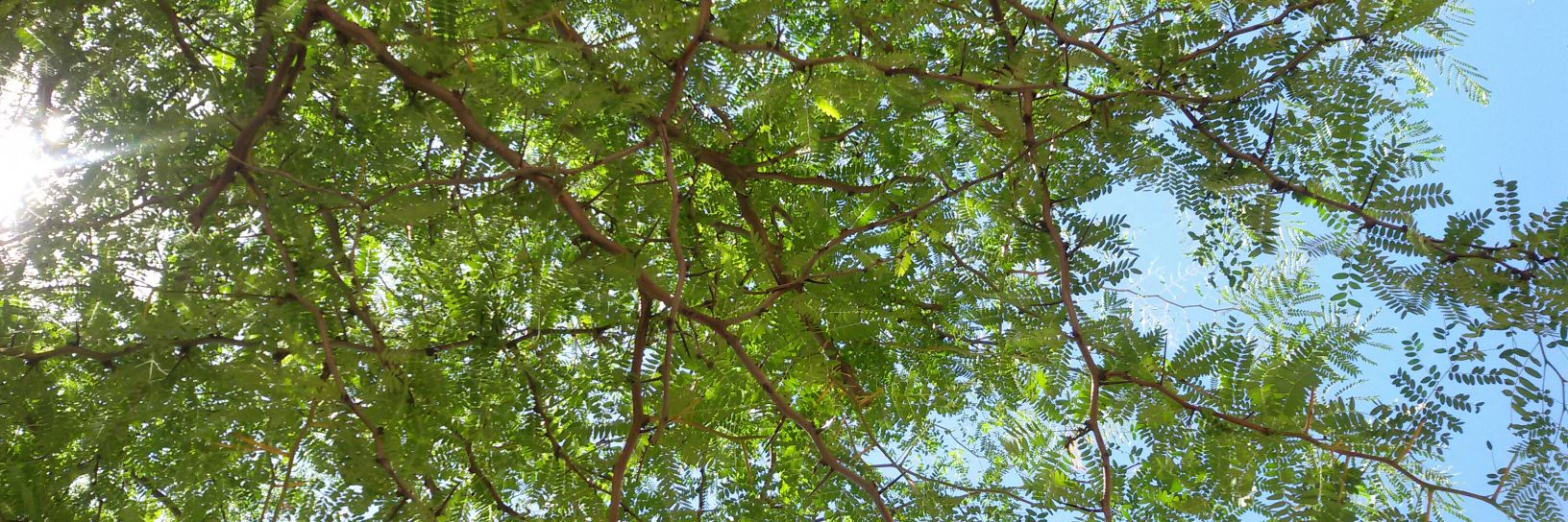 Mluisacarras's profile banner image