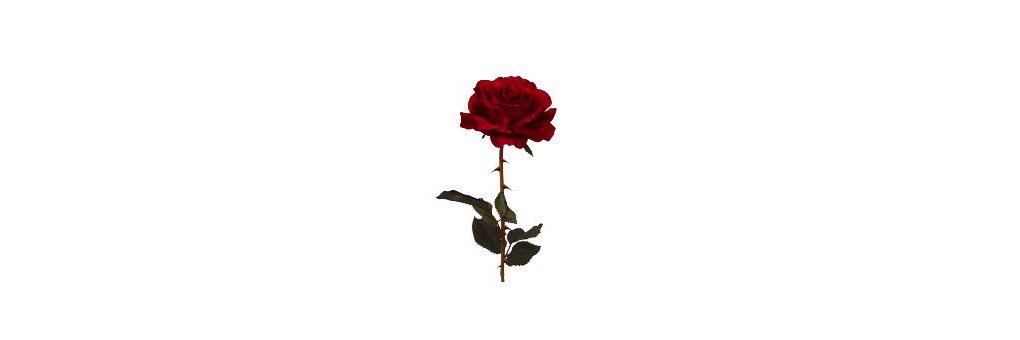 angerose_x's profile banner image