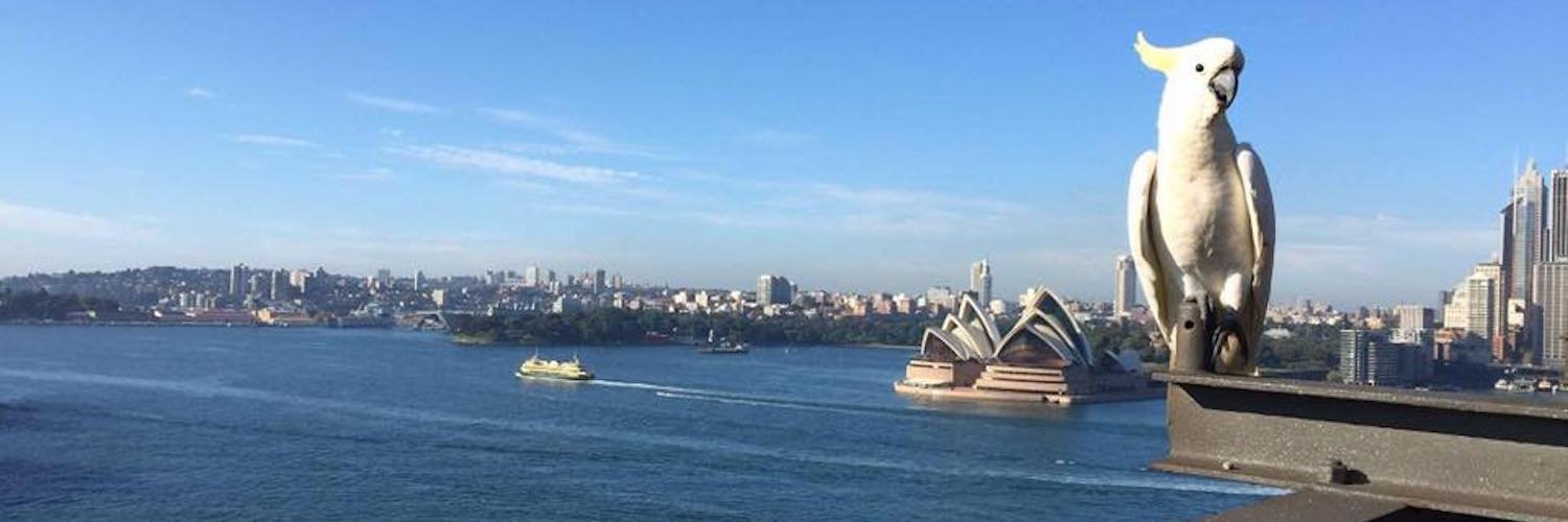 waynemoloney's profile banner image