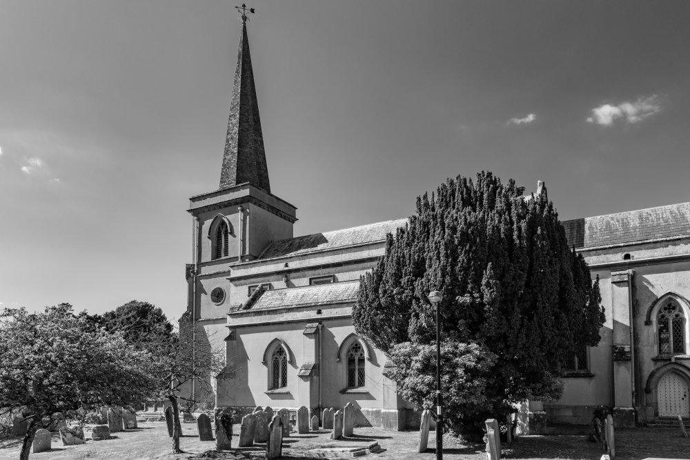 Stafford Johnson banner