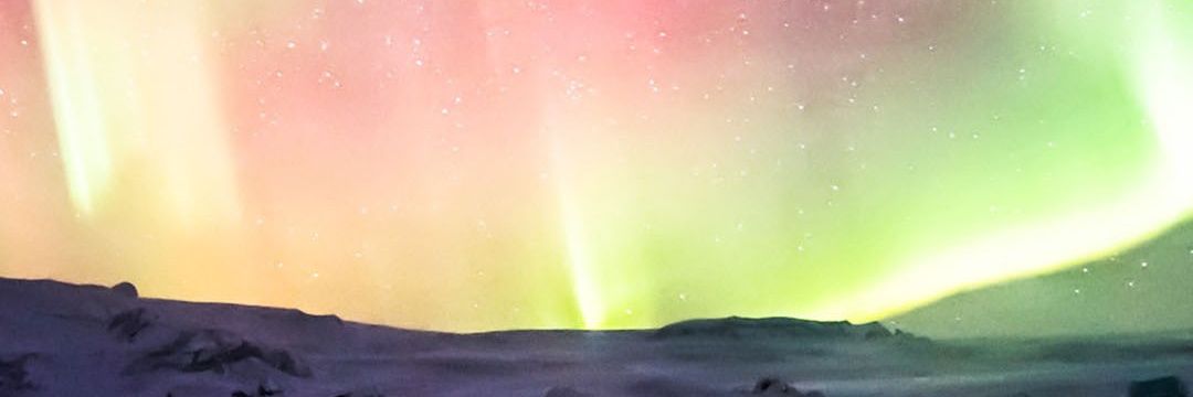 SerenaCol31's profile banner image