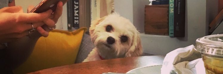 _JackNichols's profile banner image