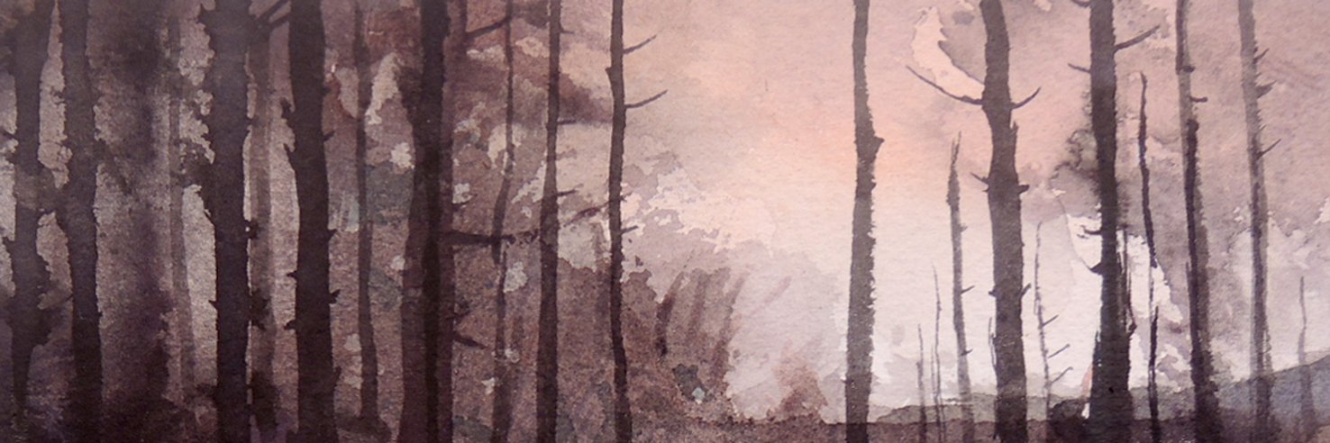 urchinpearse's profile banner image