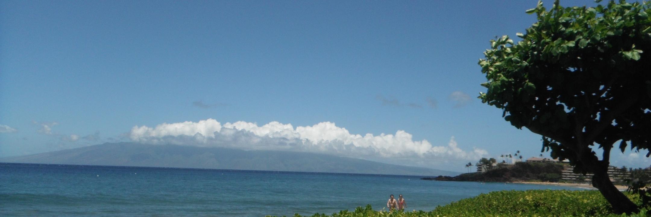 Gerry Tschopp banner