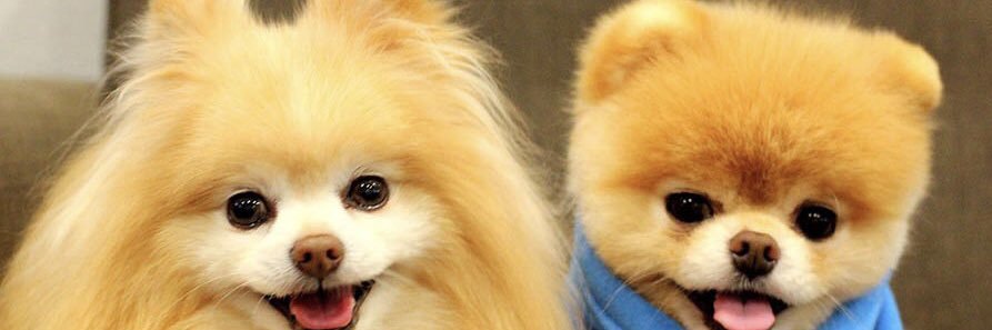 h_f01's profile banner image
