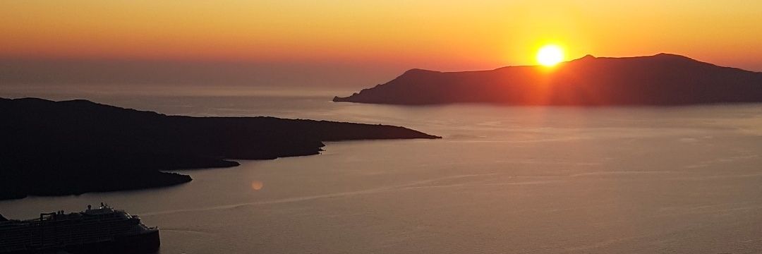 William Polak 🌐 banner