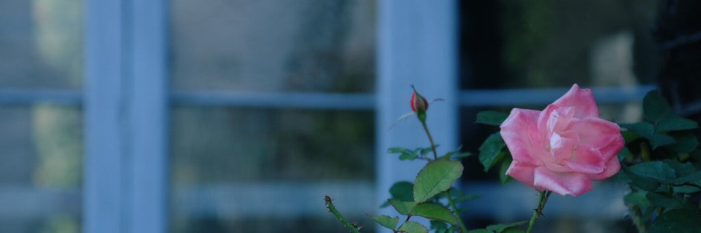 mrhirota's profile banner image