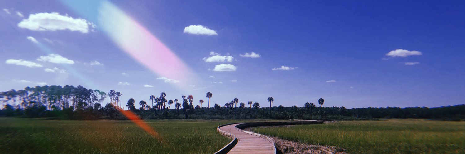 mackalied's profile banner image