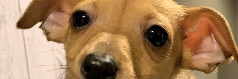 elliotjackallen's profile banner image
