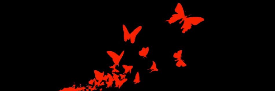 AnaPonsh's profile banner image