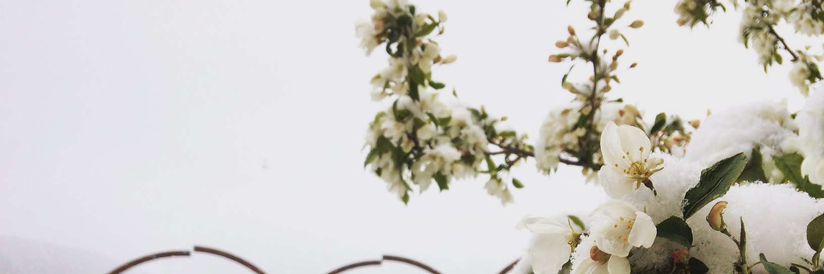LizziWinn's profile banner image