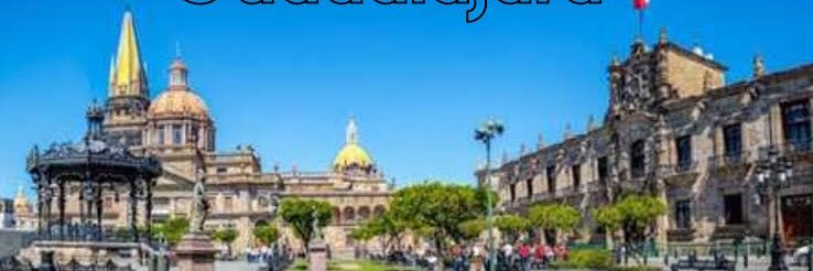 Dermaledesma's profile banner image