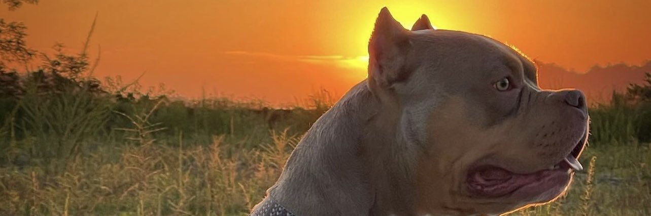 jonahcoleman's profile banner image